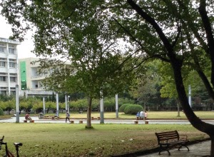 "A park in Wuhan"