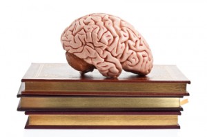 "model of a brain on top of a stack of books"